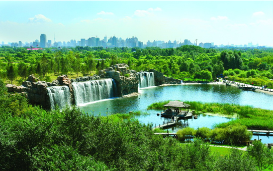 今年四季一起去哈尔滨太阳岛旅游吧！