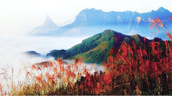 2018年“金佛山夏季露营音乐节”即将展开比选