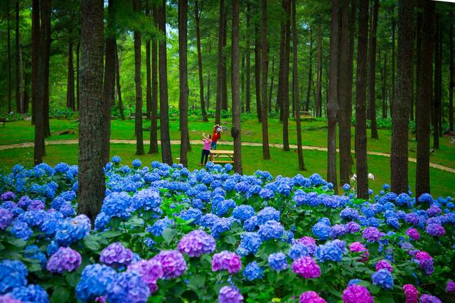 就在重庆耗时十多年打造的避暑休闲森林花园你去过吗