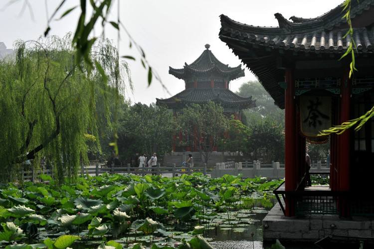 在这个冬天我们相遇大明湖