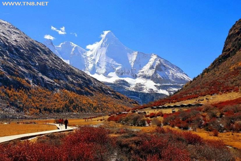 秋意正浓，那些适合秋天打卡的旅游圣地！