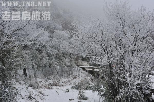 南川 · 金佛山

国家AAAAA级景区，以其生物多样性特点和独特的喀斯特地貌特征被列入世界自然遗产名单。