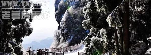 彭水县 · 摩围山

彭水摩围山每到冬季，冰封千里、玉树琼花、晶莹剔透，处处呈现出一片林海雪原的胜景。