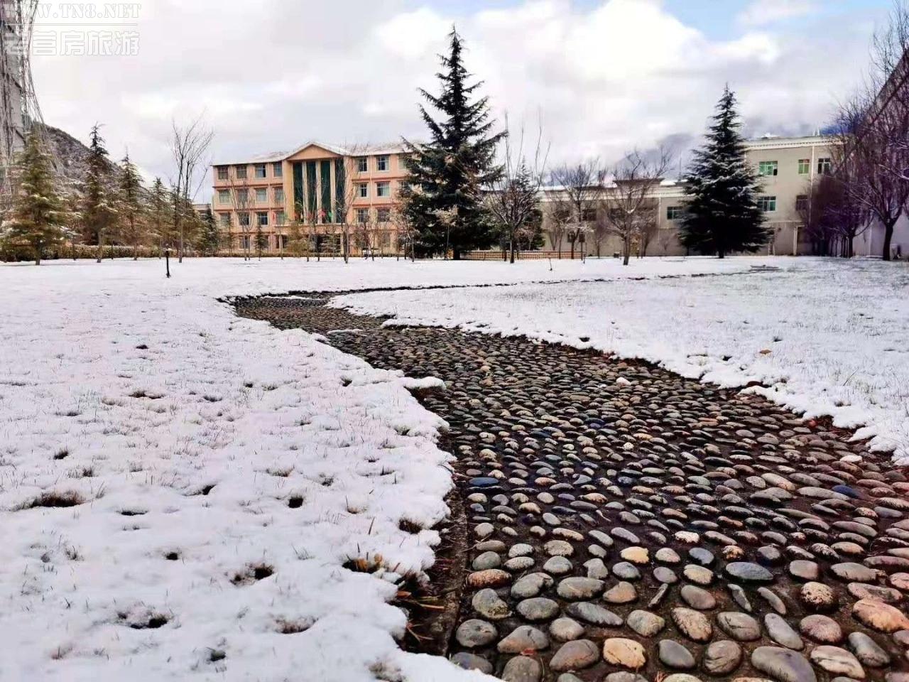 雪后，小路旁边都是一片白色，是不是有种成为冰雪奇缘里的公主的感觉呢？