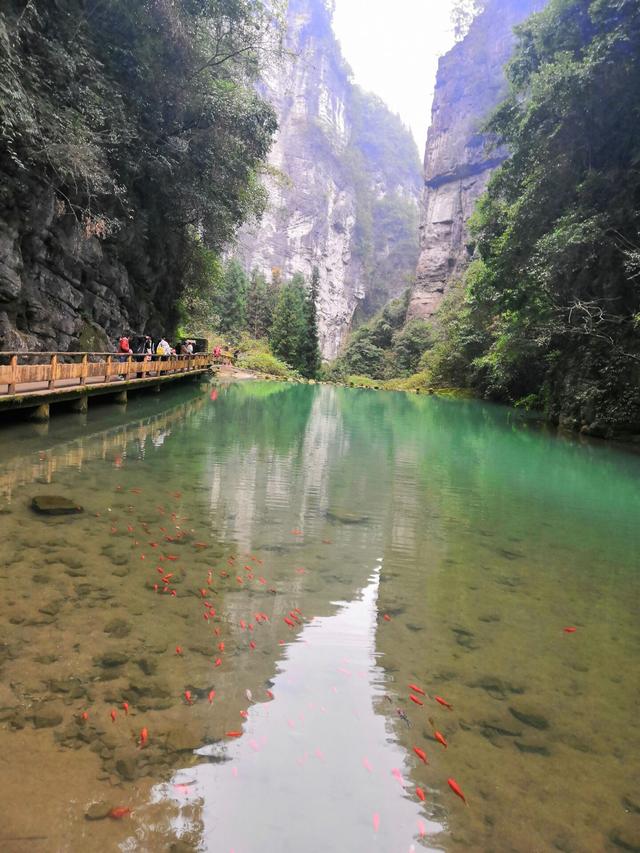 天生三桥，水绕青山山绕水，山浮绿水水浮山，美