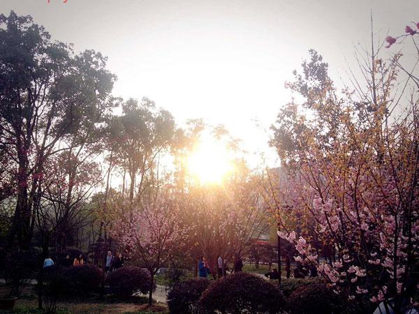南山植物园