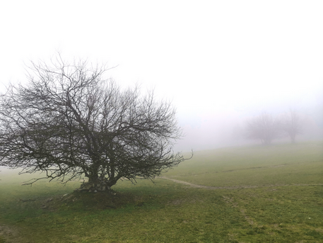 04144919v2k8.png 04144919v2k8.png