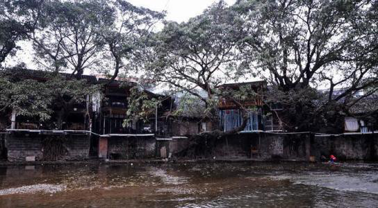 偏岩古镇学生张英.png 偏岩古镇学生张英.png