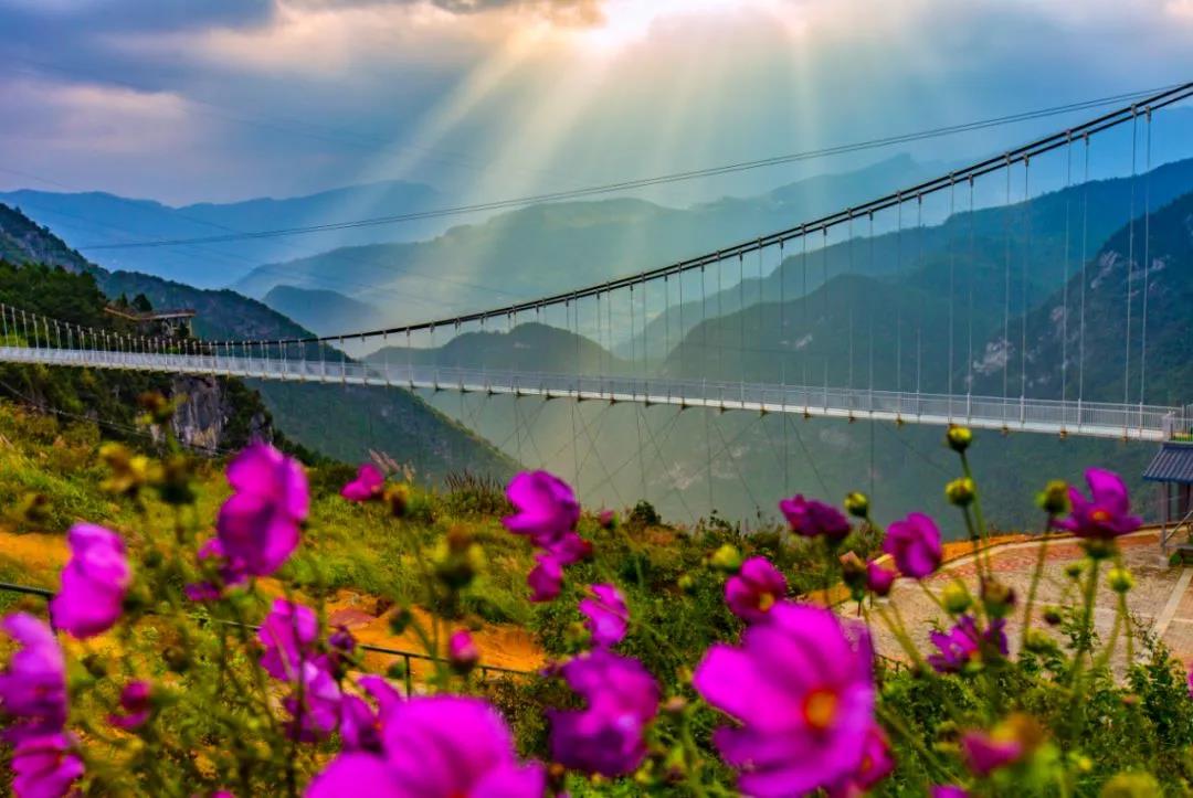 微信图片_20200402112754.jpg 微信图片_20200402112754.jpg