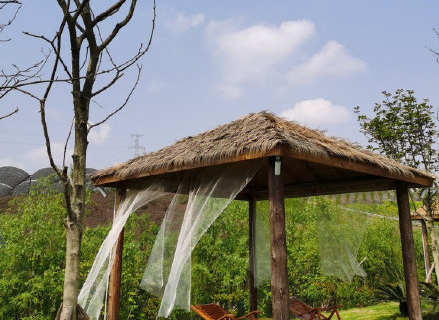 九龙坡.png 九龙坡.png