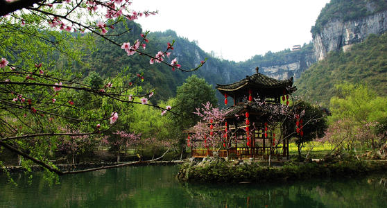 人间四月芳菲尽,酉阳桃花朵朵开